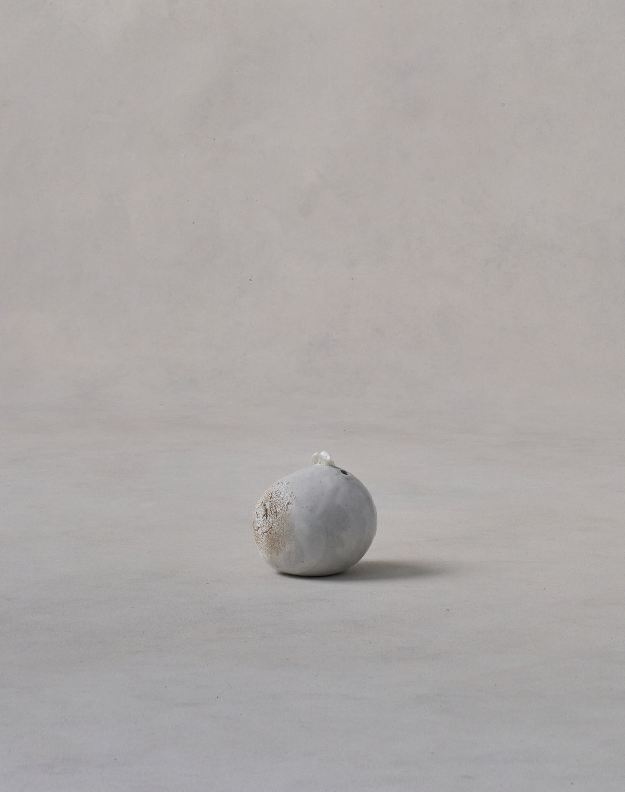 Akiko Hirai 'Mon-Shiro-Cho Butterfly No.02, 2025' (AH2530)