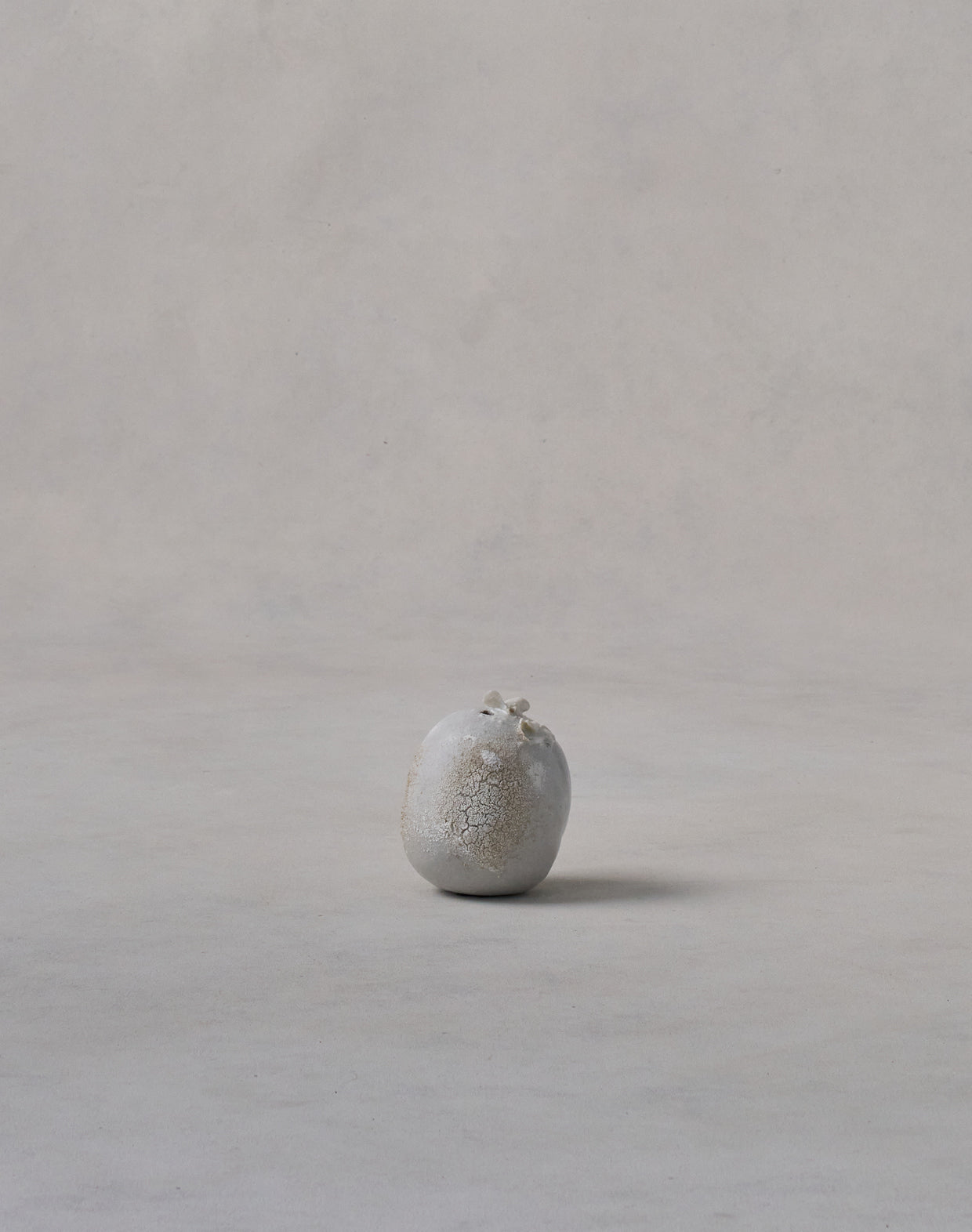 Akiko Hirai 'Mon-Shiro-Cho Butterfly No.03, 2025' (AH2531)