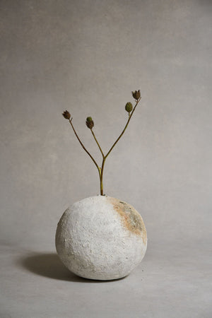 Akiko Hirai Poppy Pod "Untitled" 2021 (Ahpp43)