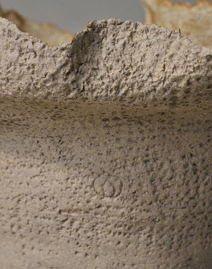 Ludmilla Balkis, The Earth's Surface, 2025 (LB2516)