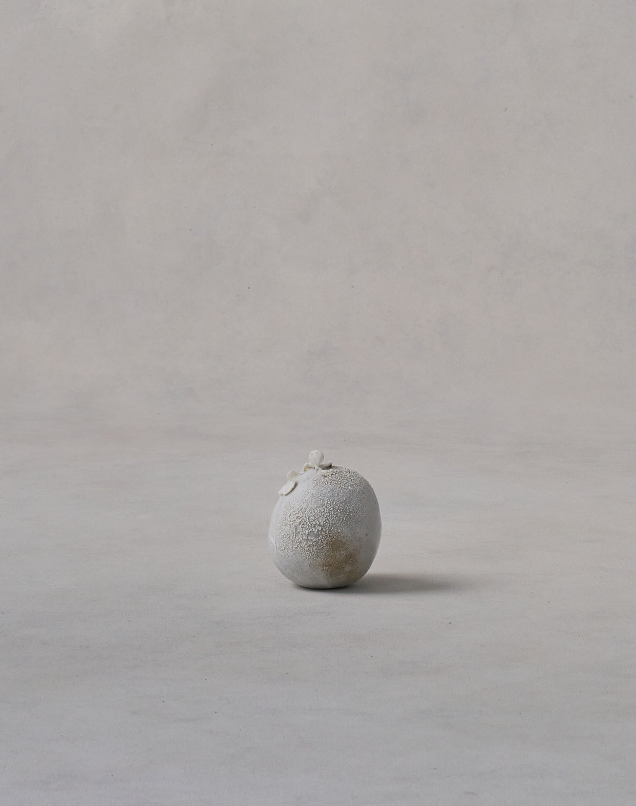 Akiko Hirai 'Mon-Shiro-Cho Butterfly No.01, 2025' (AH2529)