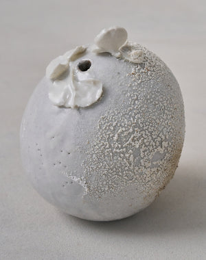 Akiko Hirai 'Mon-Shiro-Cho Butterfly No.01, 2025' (AH2529)