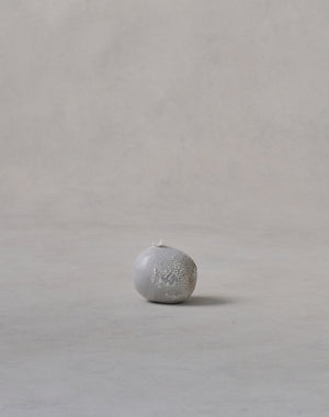 Akiko Hirai 'Mon-Shiro-Cho Butterfly No.02, 2025' (AH2530)
