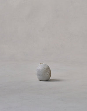 Akiko Hirai 'Mon-Shiro-Cho Butterfly No.03, 2025' (AH2531)