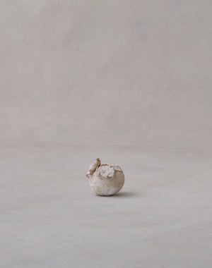 Akiko Hirai 'Moth and Cocoon No.01, 2025' (AH2535)