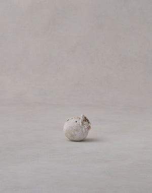 Akiko Hirai 'Moth and Cocoon No.01, 2025' (AH2535)