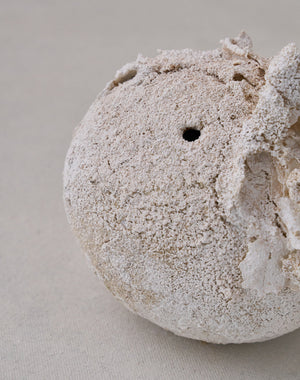 Akiko Hirai 'Moth and Cocoon No.01, 2025' (AH2535)