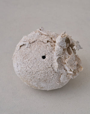 Akiko Hirai 'Moth and Cocoon No.01, 2025' (AH2535)