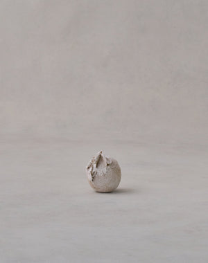 Akiko Hirai 'Moth and Cocoon No.02, 2025' (AH2536)