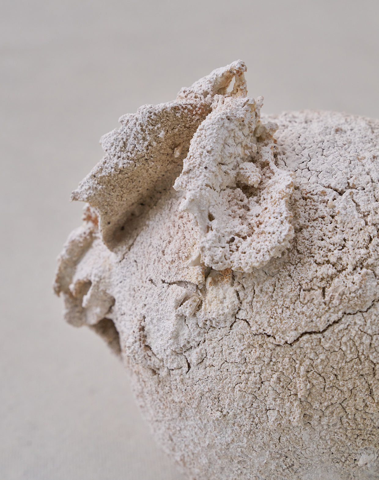 Akiko Hirai 'Moth and Cocoon No.02, 2025' (AH2536)