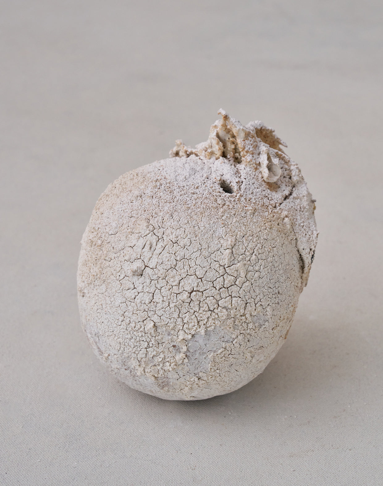 Akiko Hirai 'Moth and Cocoon No.02, 2025' (AH2536)