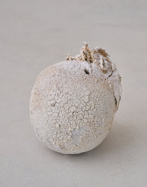Akiko Hirai 'Moth and Cocoon No.02, 2025' (AH2536)