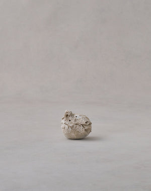 Akiko Hirai 'Moth and Cocoon No.03, 2025' (AH2537)