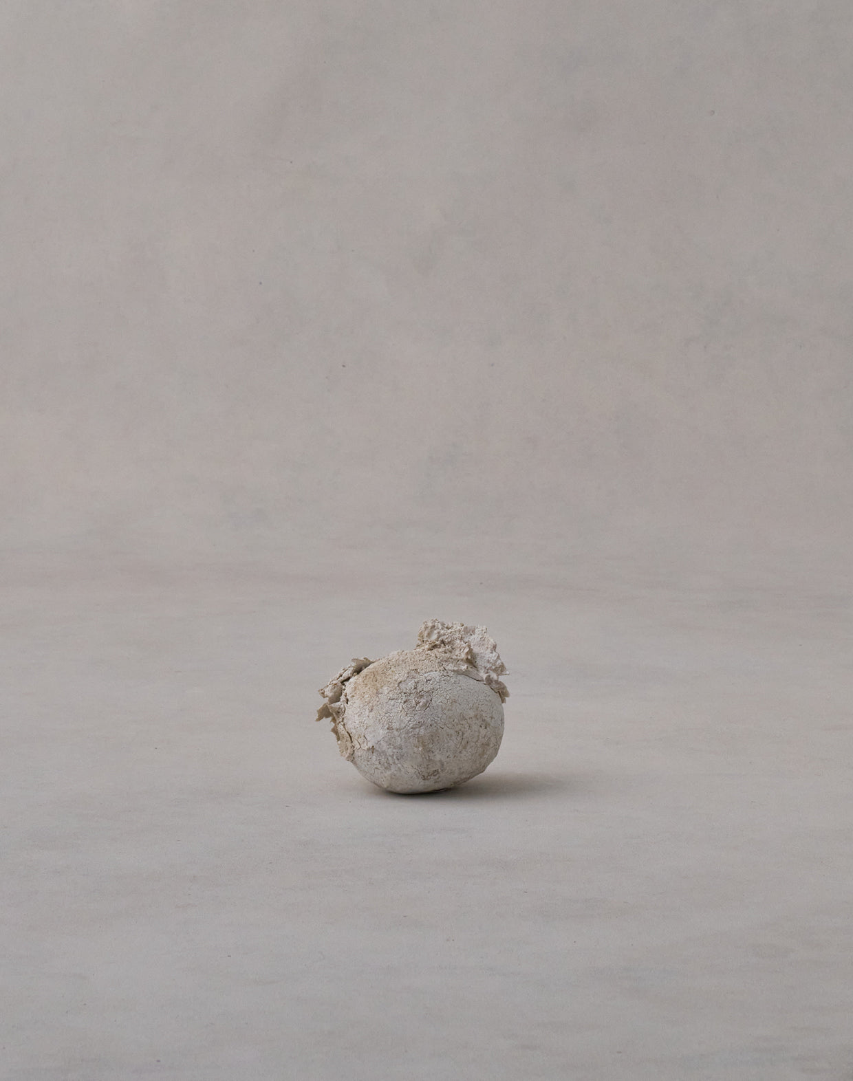 Akiko Hirai 'Moth and Cocoon No.03, 2025' (AH2537)