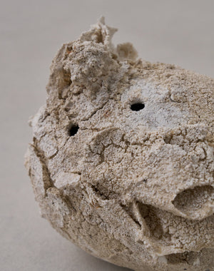 Akiko Hirai 'Moth and Cocoon No.03, 2025' (AH2537)