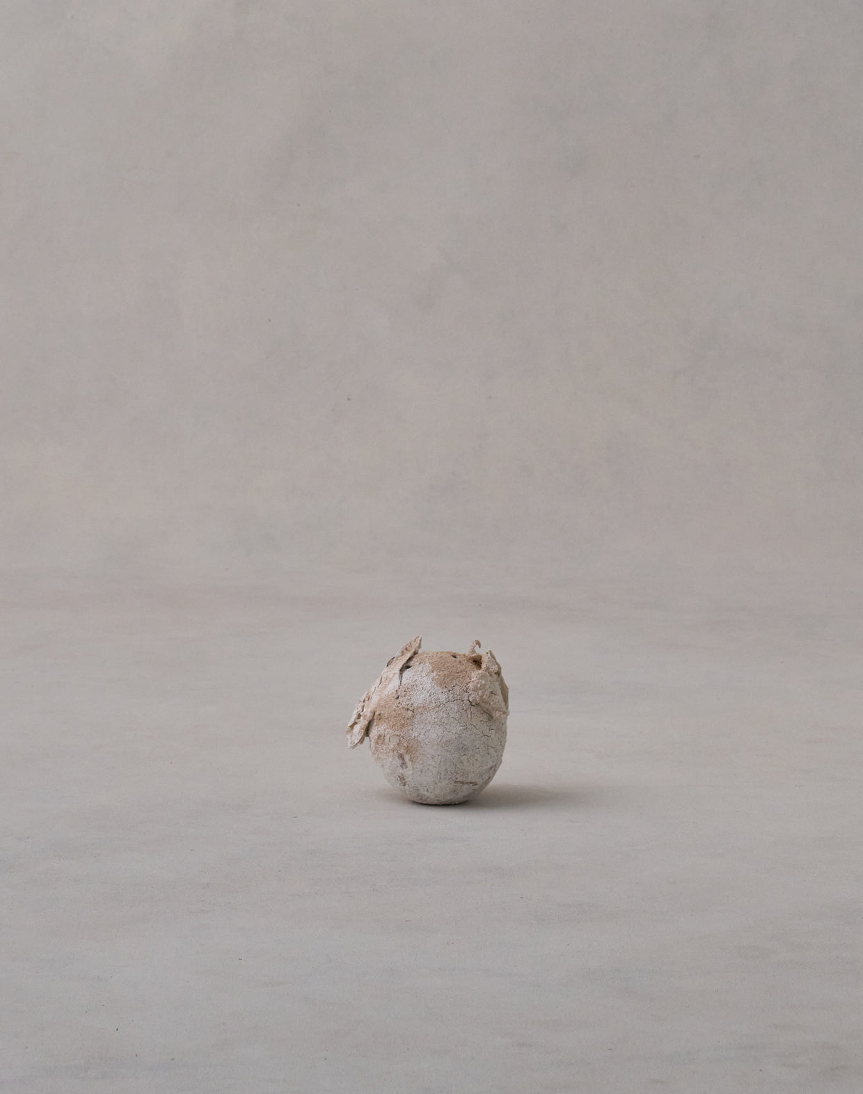 Akiko Hirai 'Moth and Cocoon No.04, 2025' (AH2538)