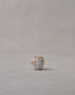 Akiko Hirai 'Moth and Cocoon No.04, 2025' (AH2538)