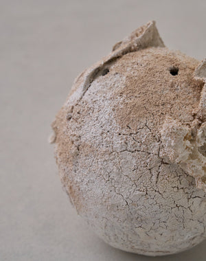 Akiko Hirai 'Moth and Cocoon No.04, 2025' (AH2538)