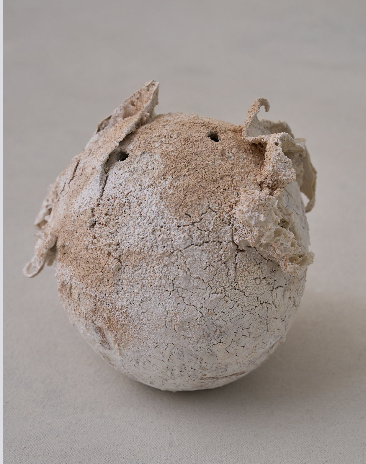 Akiko Hirai 'Moth and Cocoon No.04, 2025' (AH2538)