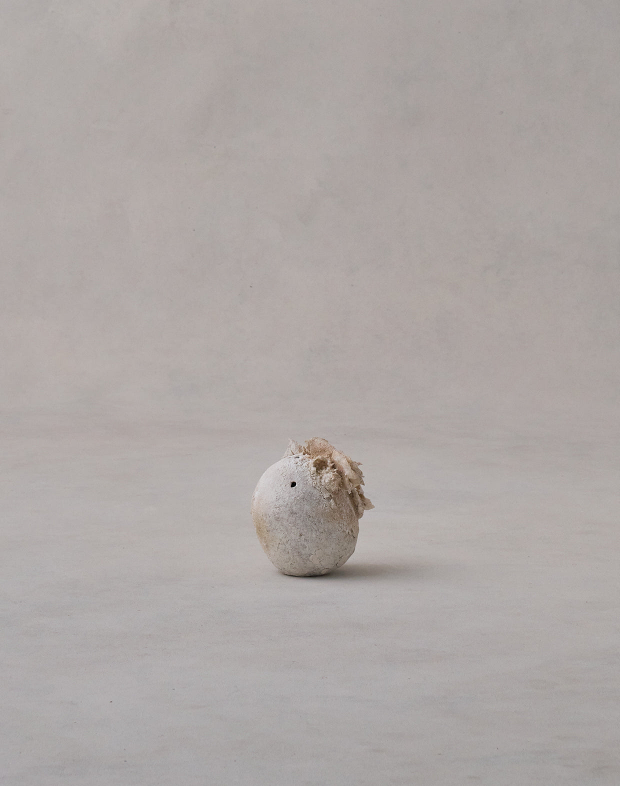 Akiko Hirai 'Moth and Cocoon No.05, 2025' (AH2539)