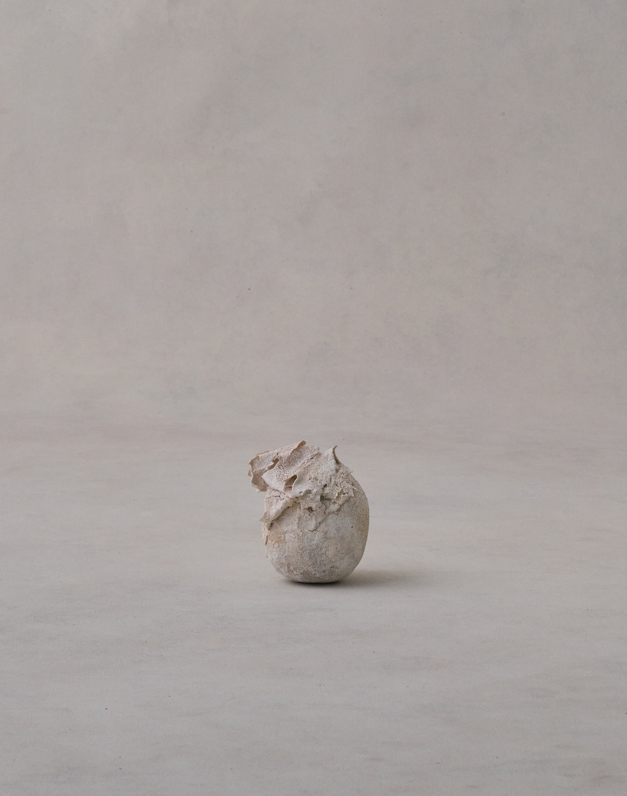 Akiko Hirai 'Moth and Cocoon No.05, 2025' (AH2539)
