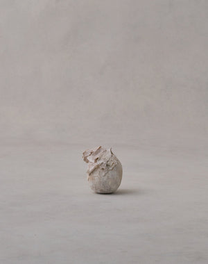 Akiko Hirai 'Moth and Cocoon No.05, 2025' (AH2539)