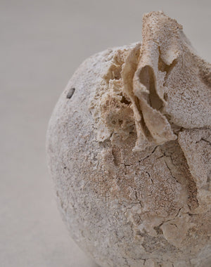 Akiko Hirai 'Moth and Cocoon No.05, 2025' (AH2539)