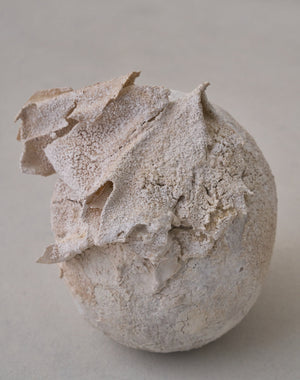 Akiko Hirai 'Moth and Cocoon No.05, 2025' (AH2539)
