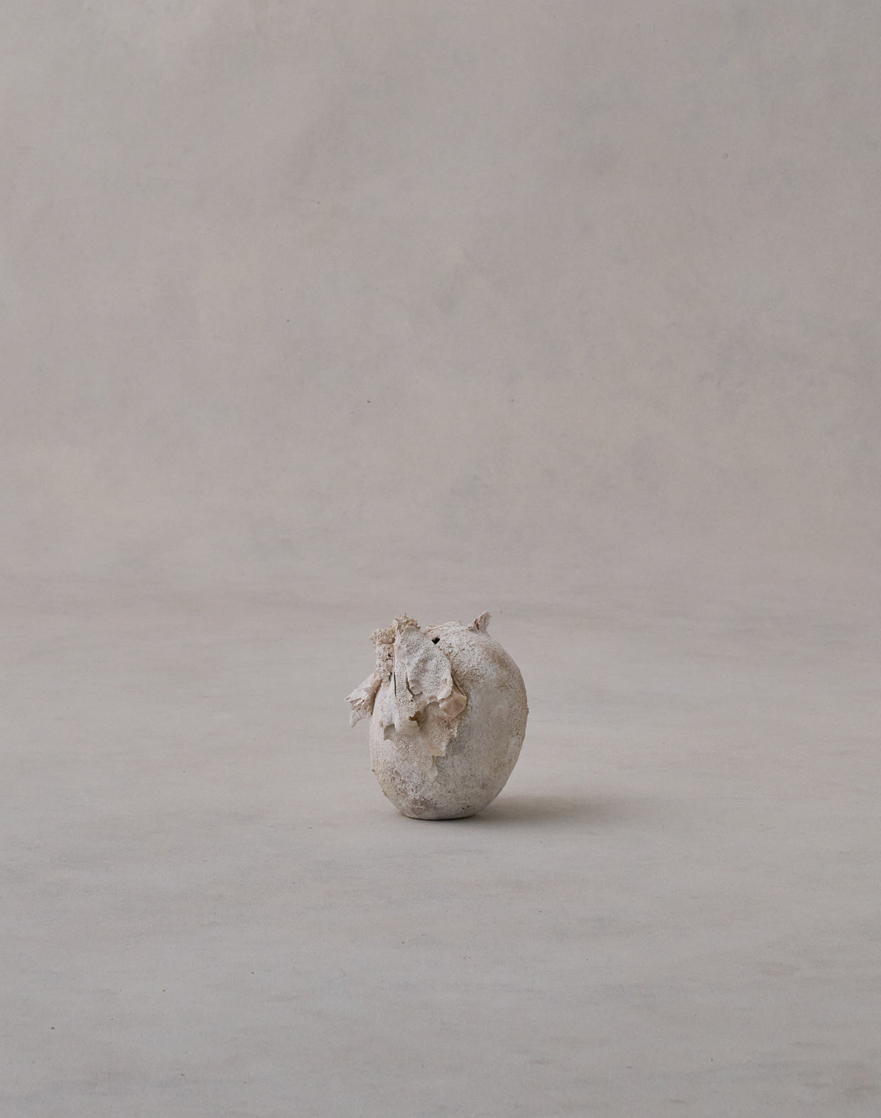 Akiko Hirai 'Moth and Cocoon No.06, 2025' (AH2540)