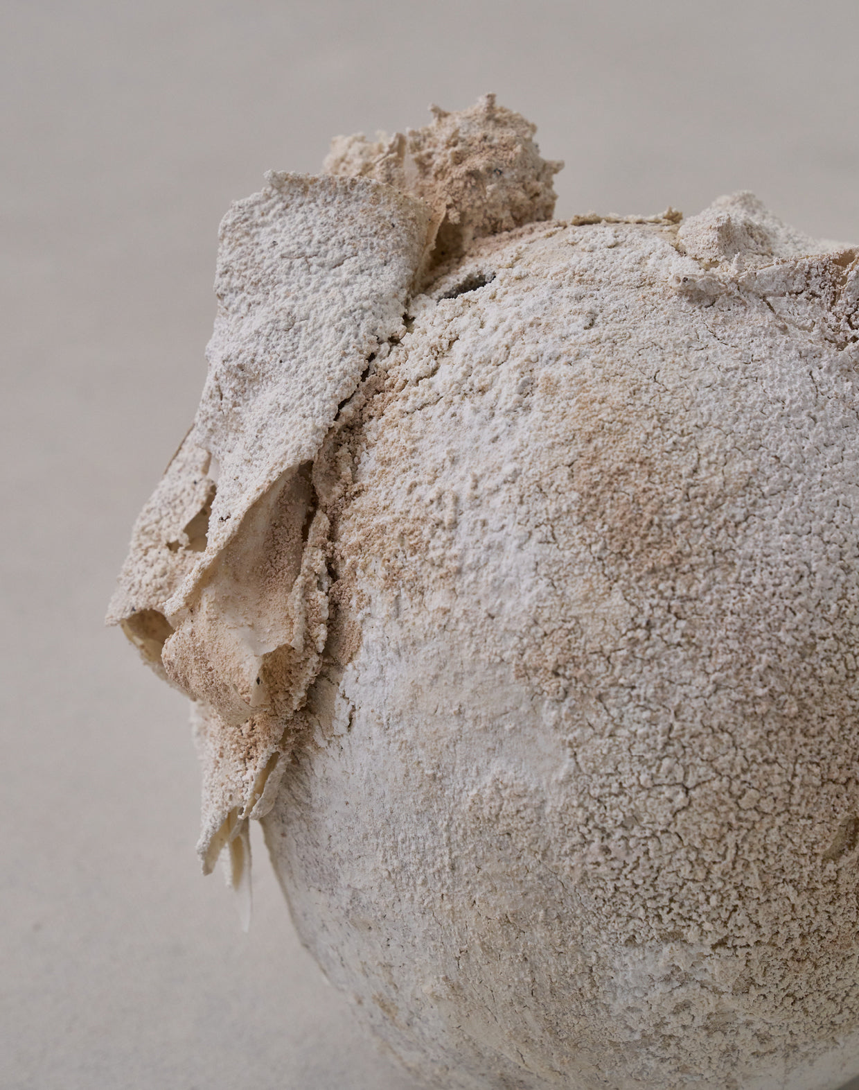 Akiko Hirai 'Moth and Cocoon No.06, 2025' (AH2540)