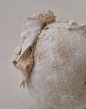 Akiko Hirai 'Moth and Cocoon No.06, 2025' (AH2540)