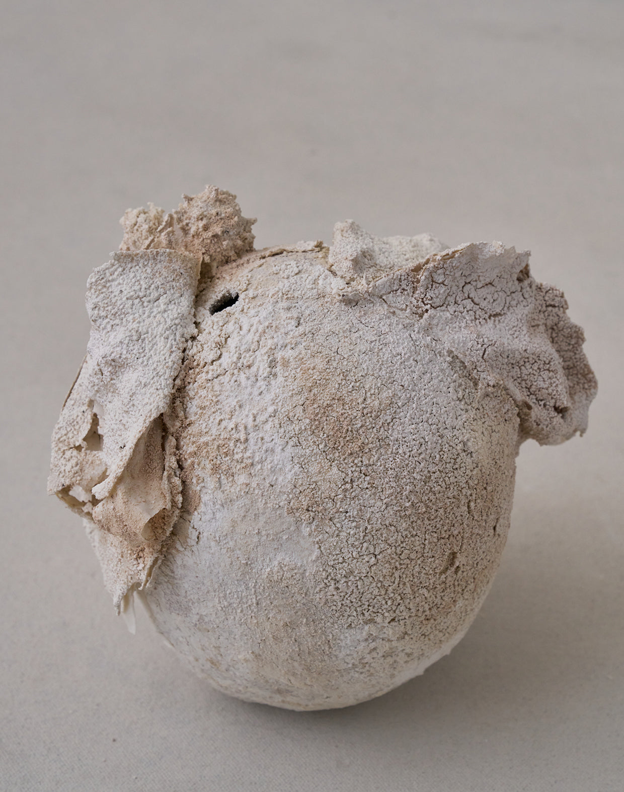 Akiko Hirai 'Moth and Cocoon No.06, 2025' (AH2540)