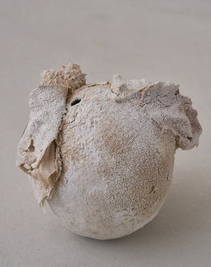 Akiko Hirai 'Moth and Cocoon No.06, 2025' (AH2540)