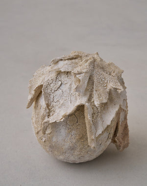 Akiko Hirai 'Moth and Cocoon No.07, 2025' (AH2541)