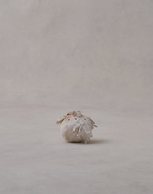 Akiko Hirai 'Moth and Cocoon No.08, 2025' (AH2542)