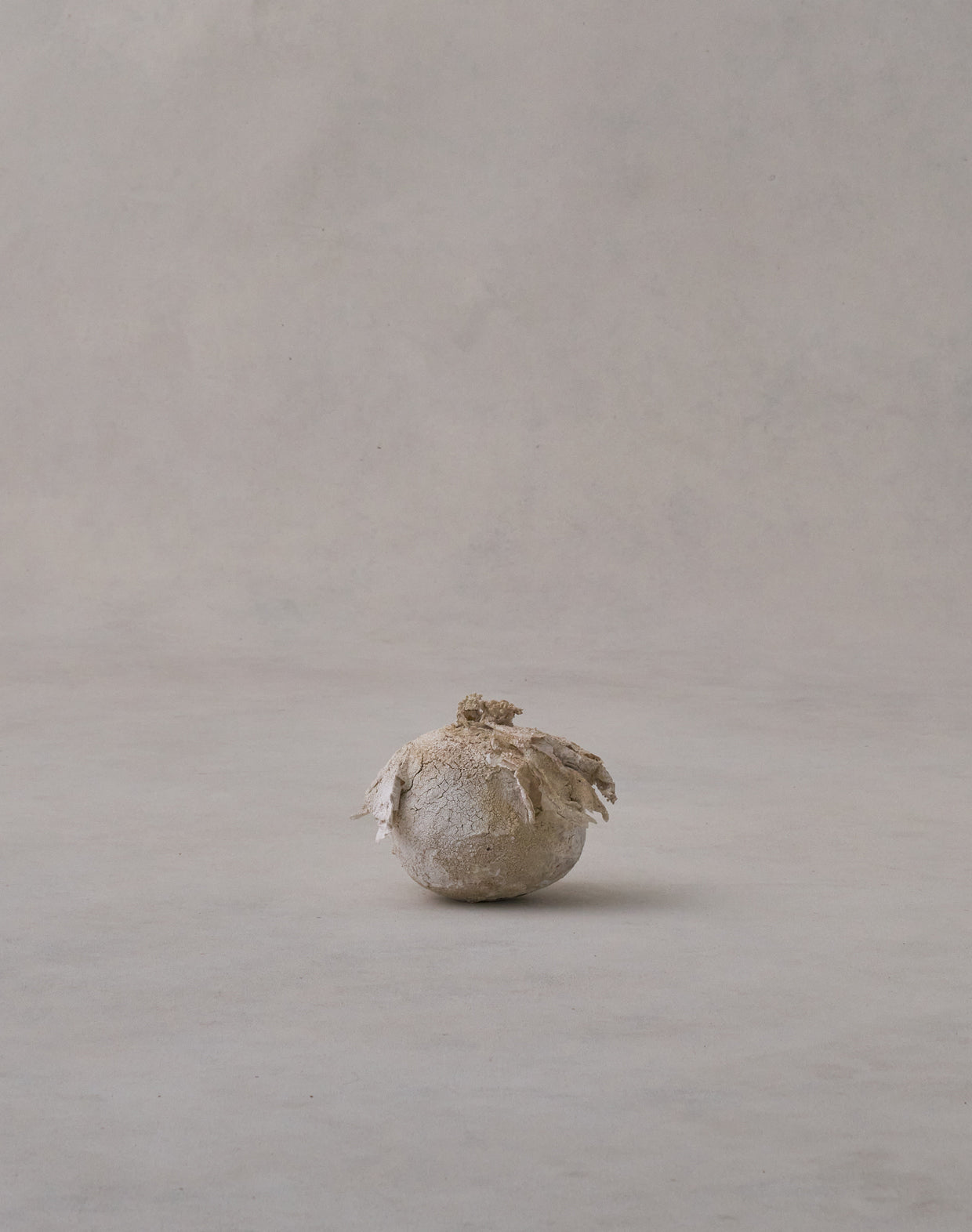 Akiko Hirai 'Moth and Cocoon No.08, 2025' (AH2542)