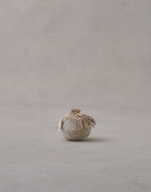 Akiko Hirai 'Moth and Cocoon No.08, 2025' (AH2542)