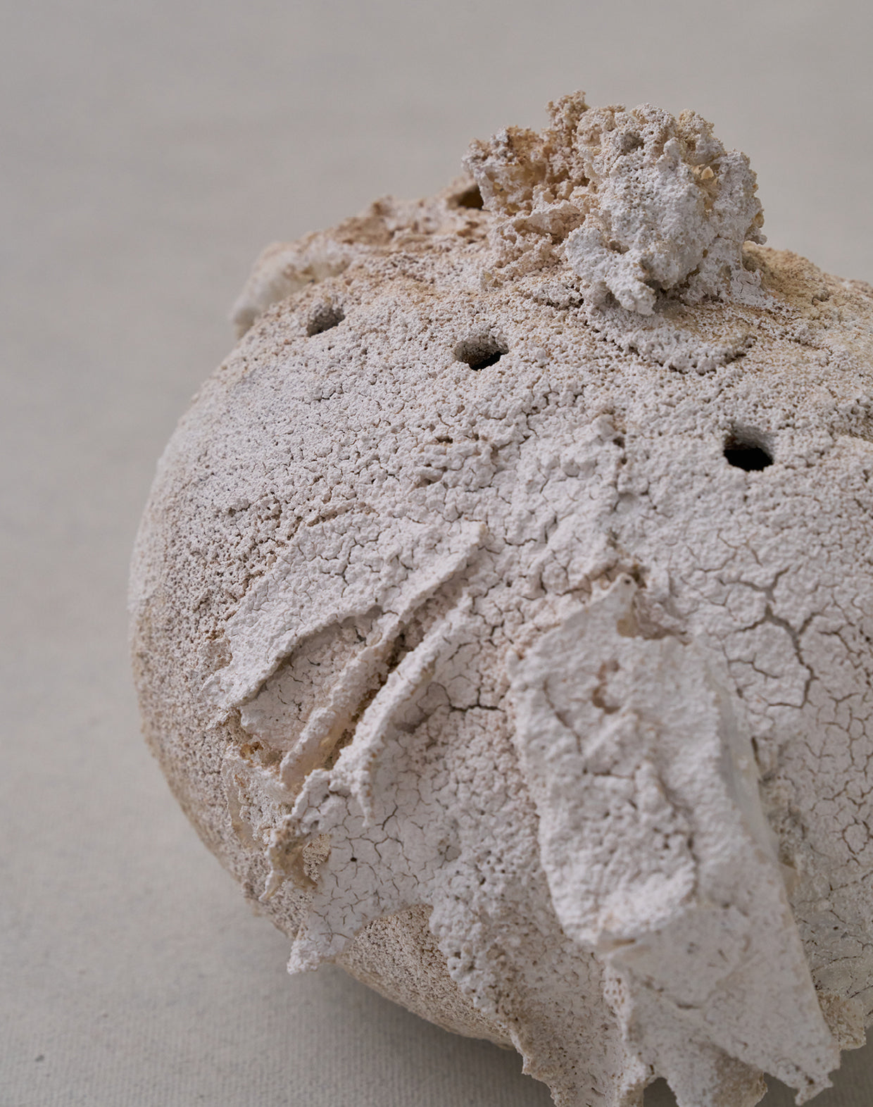 Akiko Hirai 'Moth and Cocoon No.08, 2025' (AH2542)