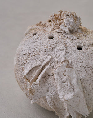 Akiko Hirai 'Moth and Cocoon No.08, 2025' (AH2542)