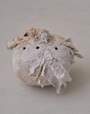 Akiko Hirai 'Moth and Cocoon No.08, 2025' (AH2542)