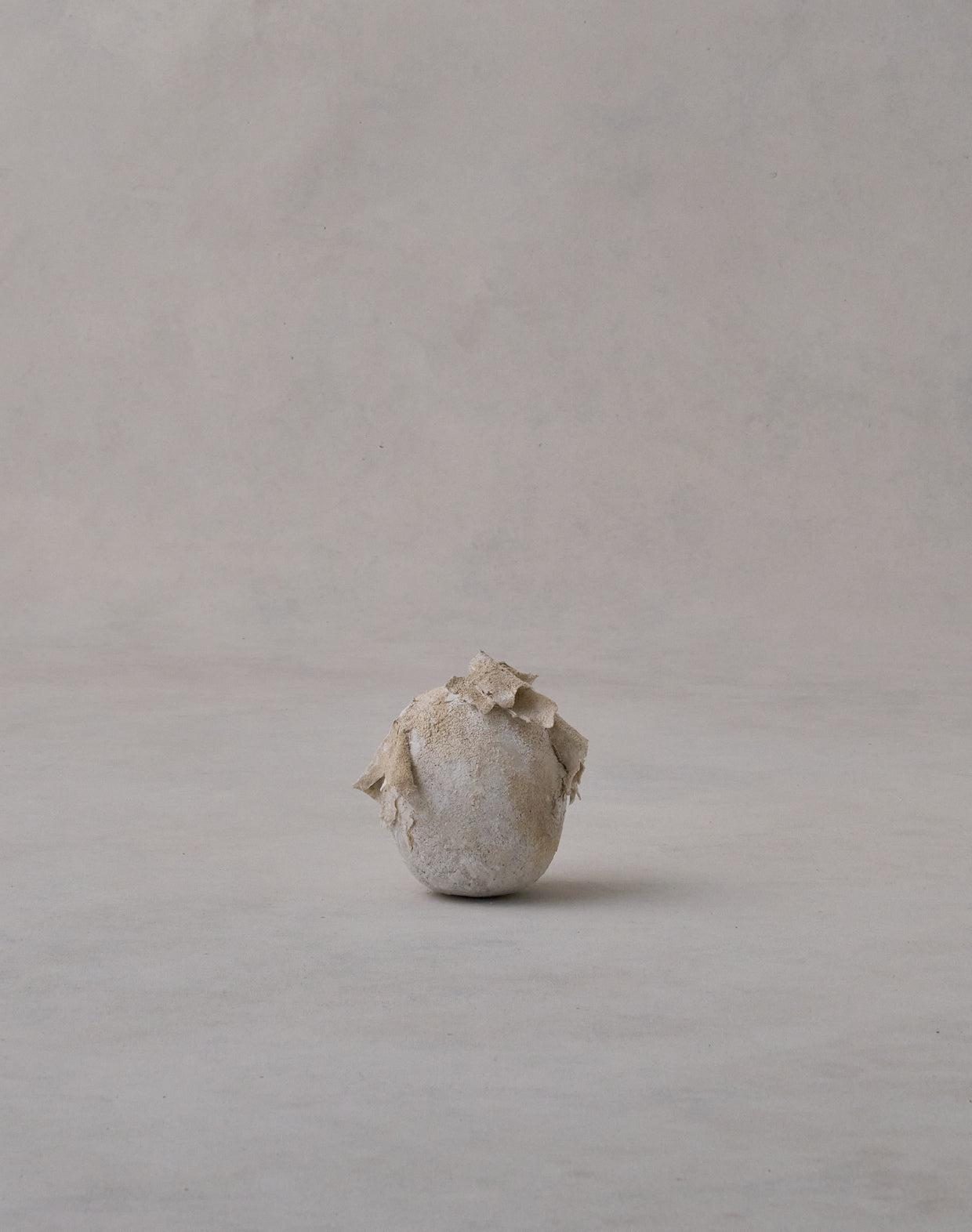 Akiko Hirai 'Moth and Cocoon No.09, 2025' (AH2543)