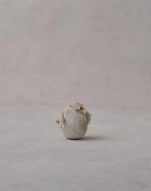Akiko Hirai 'Moth and Cocoon No.09, 2025' (AH2543)