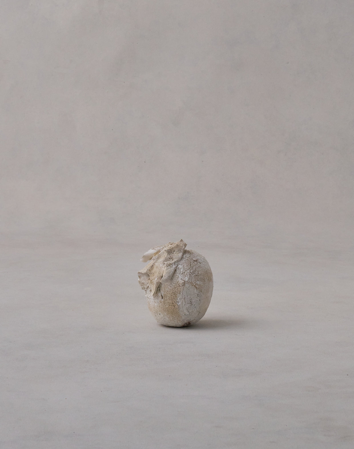 Akiko Hirai 'Moth and Cocoon No.09, 2025' (AH2543)
