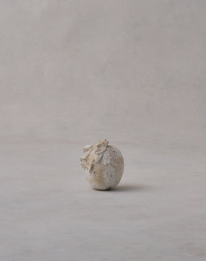 Akiko Hirai 'Moth and Cocoon No.09, 2025' (AH2543)