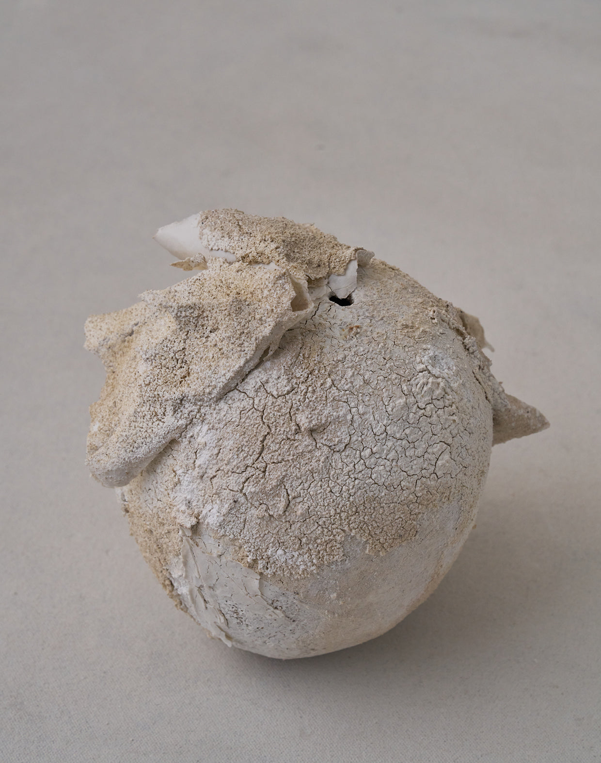 Akiko Hirai 'Moth and Cocoon No.09, 2025' (AH2543)