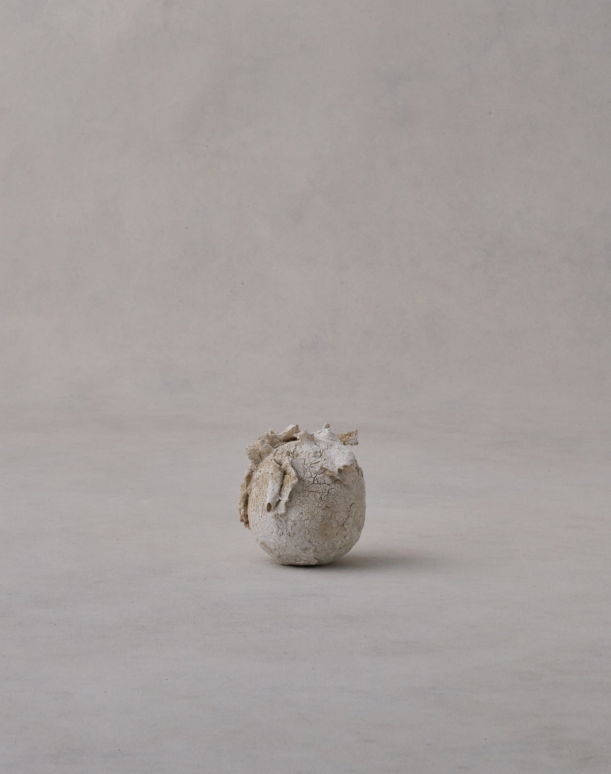 Akiko Hirai 'Moth and Cocoon No.10, 2025' (AH2544)