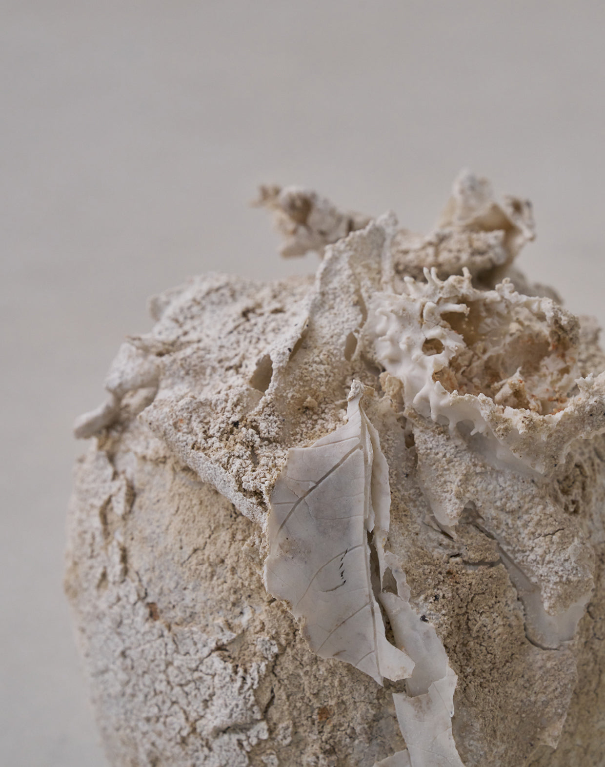 Akiko Hirai 'Moth and Cocoon No.10, 2025' (AH2544)
