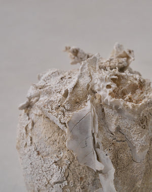 Akiko Hirai 'Moth and Cocoon No.10, 2025' (AH2544)