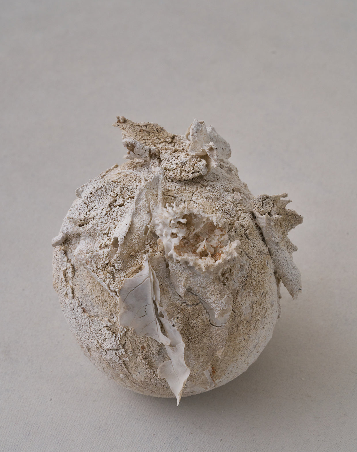 Akiko Hirai 'Moth and Cocoon No.10, 2025' (AH2544)