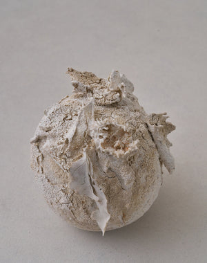 Akiko Hirai 'Moth and Cocoon No.10, 2025' (AH2544)